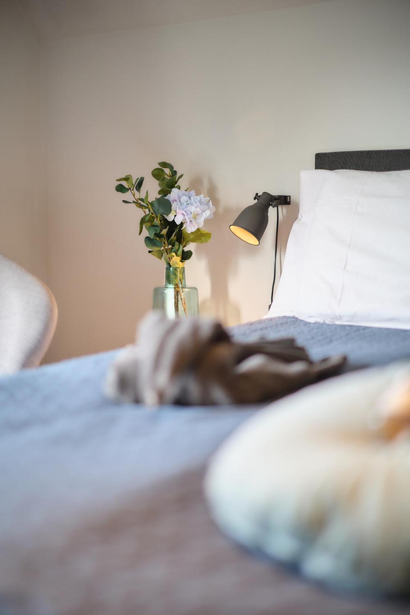 Villa Cecha B&B &Wellness Oostende Eksteriør bilde